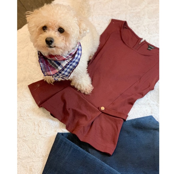 Ann Taylor Tops - Ann Taylor burgundy sleeveless peplum top